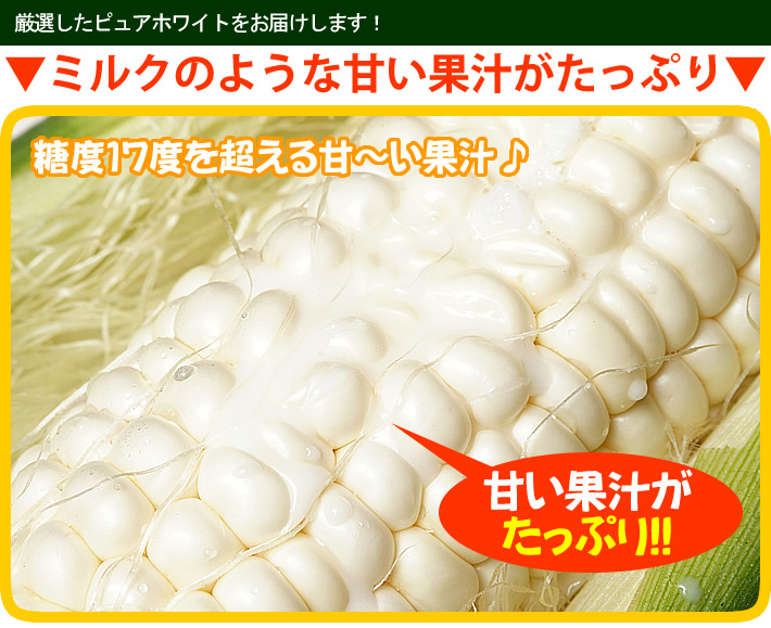 通販で大人気の北海道産朝もぎピュアホワイトは白いとうもろこし