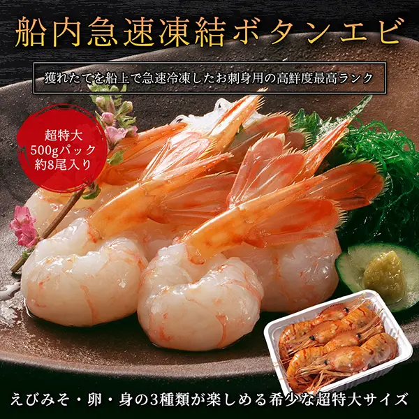 超特大ボタンエビ