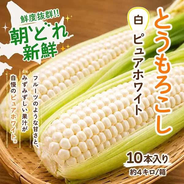 北海道産白いとうもろこし