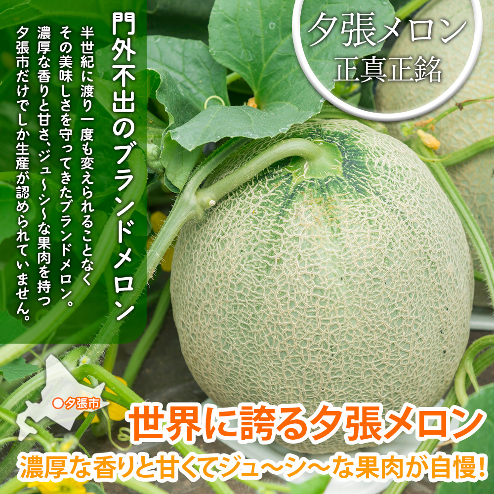 通販で激安の夕張メロン業務用箱売り