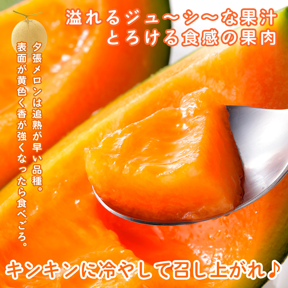 夕張メロンの産地直送通販
