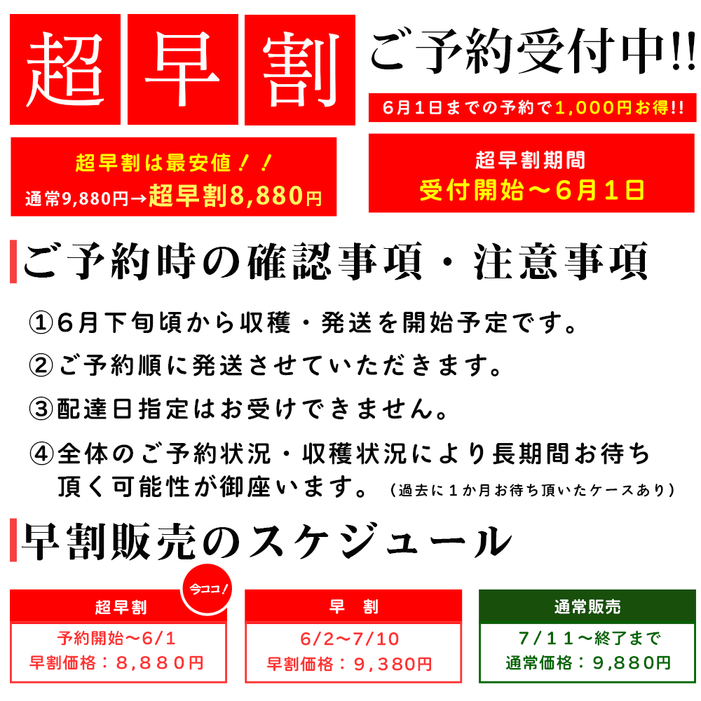 自分用夕張メロンの通販