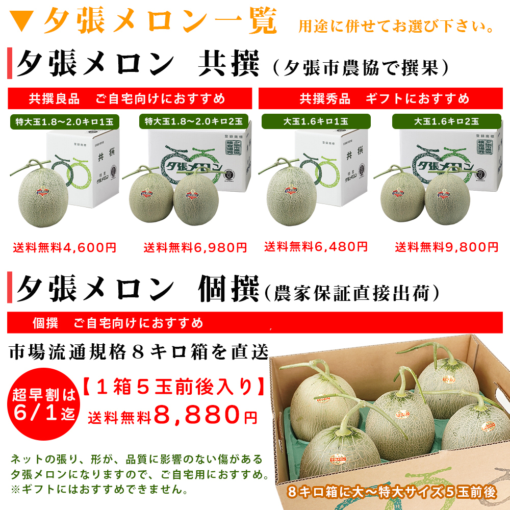 自分用夕張メロンの通販