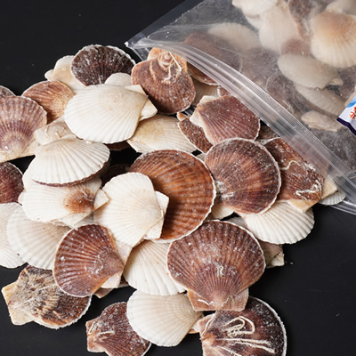 【同梱におすすめ】北海道産ホタテ稚貝 業務用1キロ袋 いろいろ使える便利食材