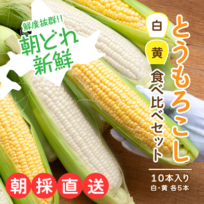 北海道産とうもろこし食べ比べ 黄色5本+ホワイト5本(合計10本約4キロ)