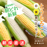 北海道産とうもろこし食べ比べ 黄色10本+ホワイト10本(合計20本約8キロ)