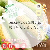 北海道産とうもろこし食べ比べセット 黄色5本+ホワイト5本(合計10本約4キロ)8月16日以降発送