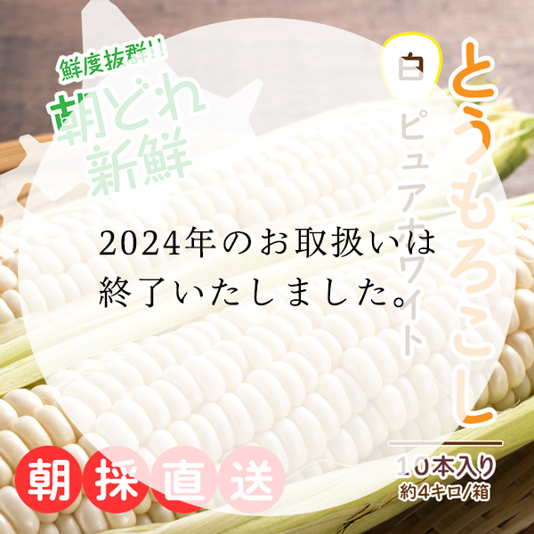 北海道産ピュアホワイト10本 (約4キロ)大人気の白いとうもろこし!