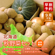 【送料無料】北海道の大地が育てた秋野菜詰合わせBOX(じゃがいも2種・玉ねぎ・かぼちゃ)