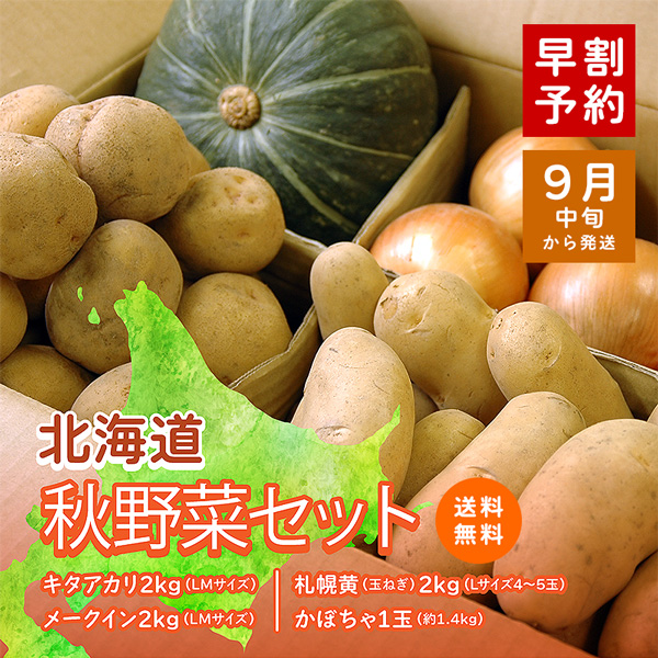 北海道秋野菜セット